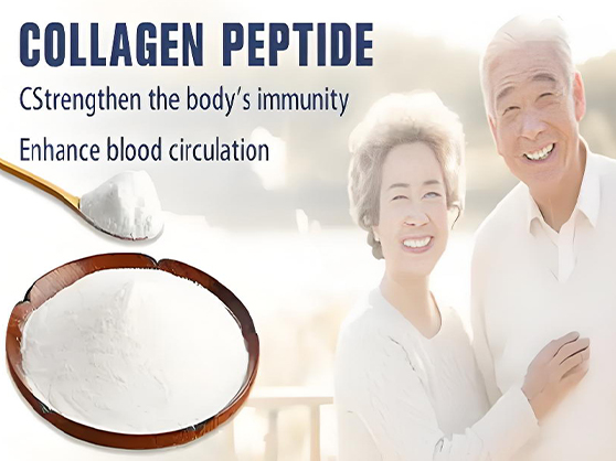 Collagen Tripeptide